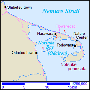 Map of Notsuke Peninsula