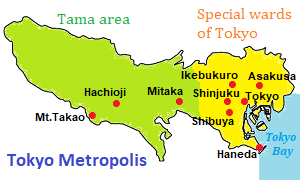 Position of Tokyo Metropolis