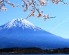 Mt.Fuji