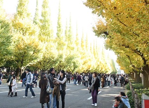 The street of colored gingko trees in Tokyo
