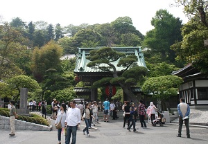 Hasedera temple in Kamakura city