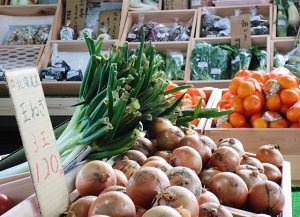 Onions, Negi, and other vegetables in a vegetable shop