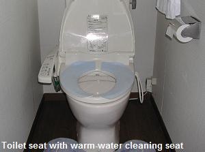 Toilet seat with warm-water cleaning seat