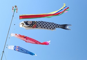 Flying Carp streamers for Children's Day