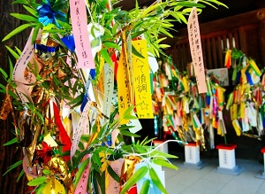 Tanabata decoration. Many colorful strips are hung on bamboo.