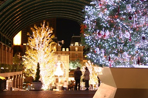 Christmas illuminations in Tokyo