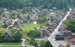 Some of traditional houses in Shirakawago are minshuku