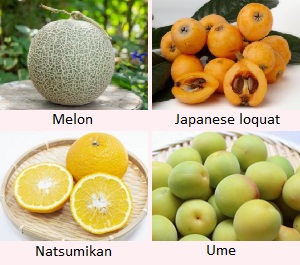 Melon, Biwa, Matsumikan, Ume