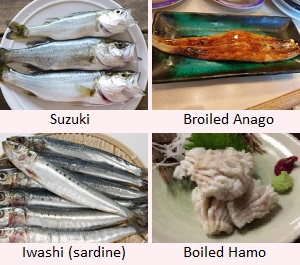 Suzuki, Anago, Iwashi, Hamo