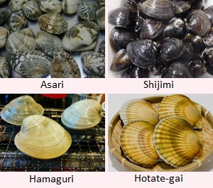Asari, Shijimi, Hamaguri, Hotate-gai