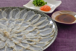 Sashimi of Fugu and ponzu