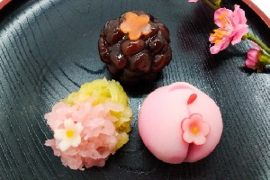 Wagashi in spring