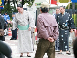 Young sumo wrestlers