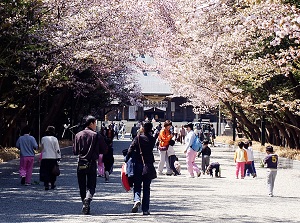 The approach to the main shrine