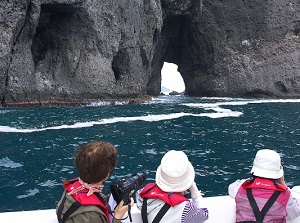 Window rock of Otamoi coast