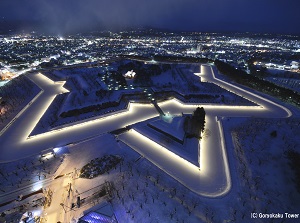 Illuminated Goryokaku in winter