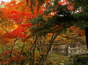 A path in Miharashi Park