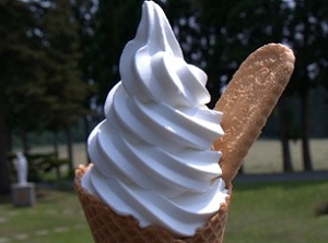 Soft serve ice cream with a Trappist Cookie