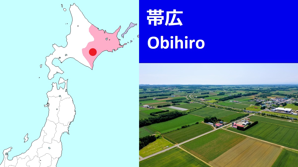 Obihiro city