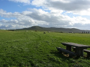 Grassland on Cape Notoro