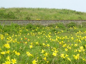 Genseikaen and the rail of Senmou Line