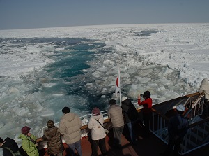 Ryuhyo from the ship Aurora