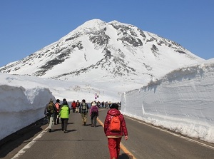 Snow wall in spring at Shiretoko Pass