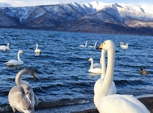 Lake Kussharo in winter