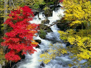 Takiguchi in autumn