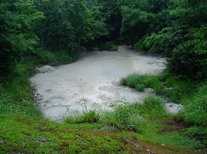 Bokke near Lake Akan