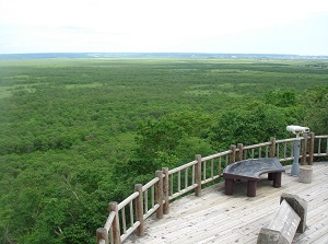 View from the satellite observatory