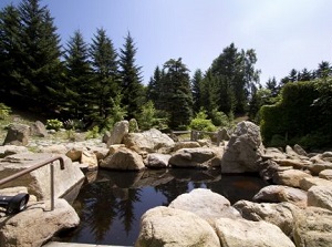 Outdoor bath of a hotel in Tokachigawa Onsen