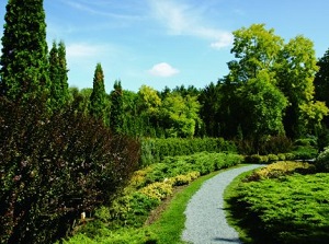 A garden in Manabe Garden