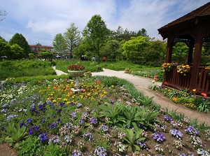 A garden in Shichiku Garden