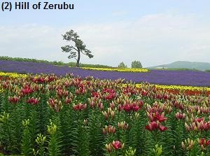 Hill of Zerubu