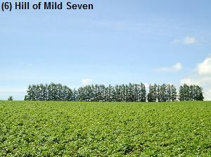Hill of Mild Seven