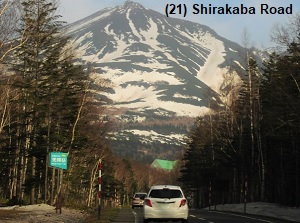 Shirakaba Road