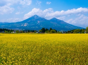 Mount Bandai in spring