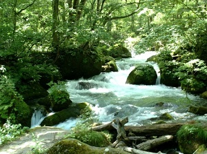 Oirase Stream in Aomori Prefecture