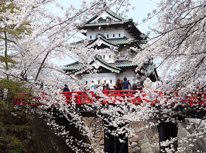 Hirosaki Sakura Festival