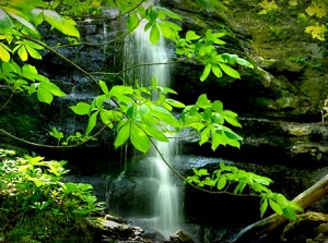 Kudan waterfall in Oirase stream