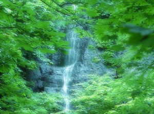 Tomoshiraga waterfall in Oirase stream