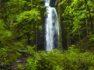 Kumoi waterfall in Oirase stream