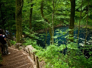 A lake in Juniko