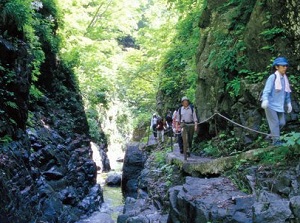 Walking trail to Anmon Waterfalls