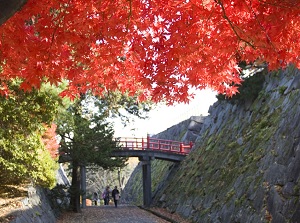 Iwate Park in autumn