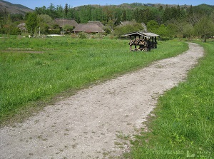 Rice field in Toono Furusato Village