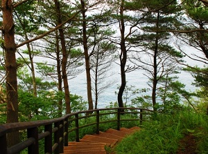 Stairs of Kitayamazaki observatory