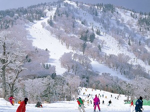 Appi Ski Resort