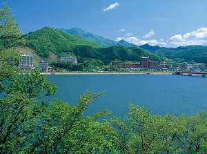 Tsunagi hot spring resort